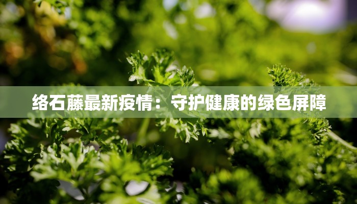 络石藤最新疫情：守护健康的绿色屏障