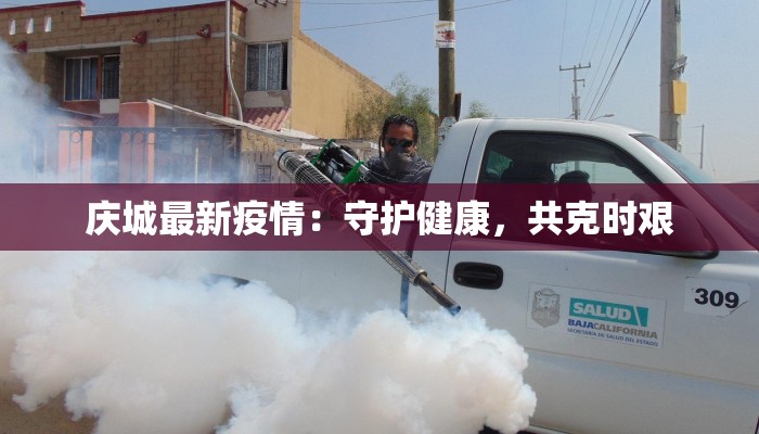 丰台王佐镇疫情最新：科学防控，共筑健康防线