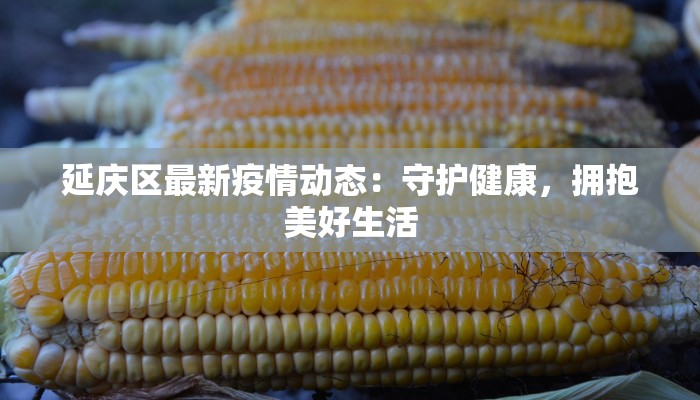 延庆区最新疫情动态：守护健康，拥抱美好生活