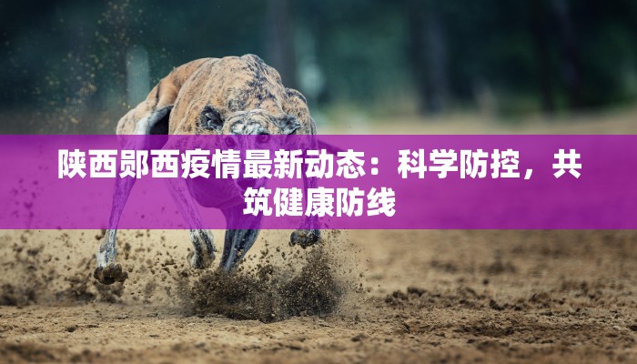 安顺市双堡最新疫情：守护健康，共筑平安