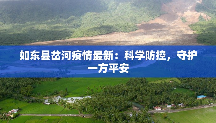 如东县岔河疫情最新：科学防控，守护一方平安