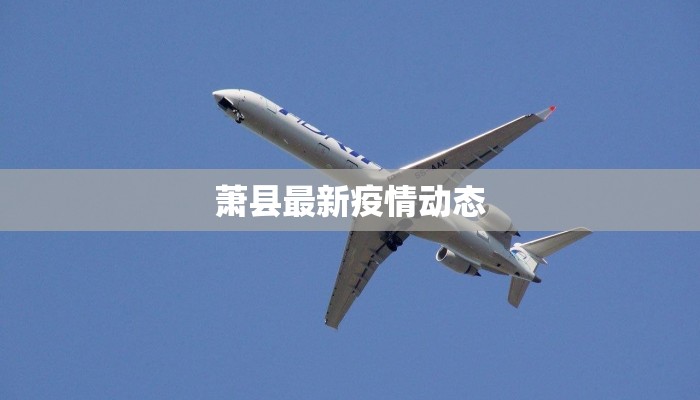 萧县最新疫情动态