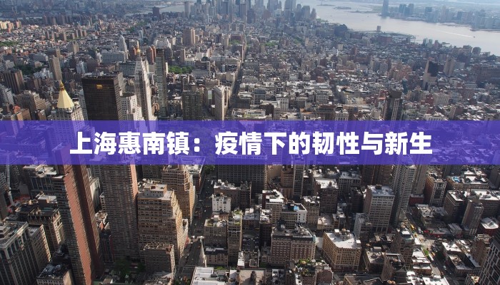 上海惠南镇：疫情下的韧性与新生