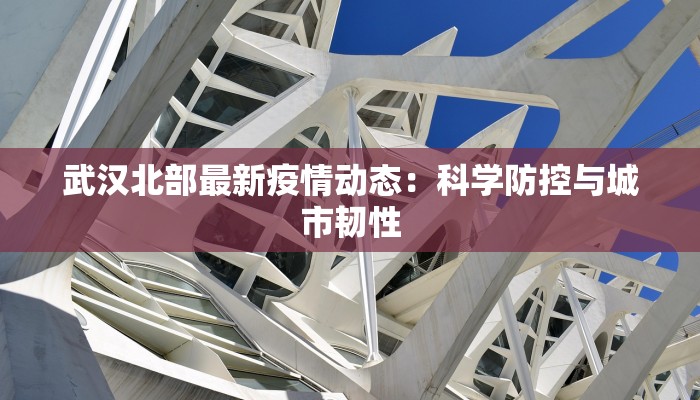 武汉北部最新疫情动态：科学防控与城市韧性