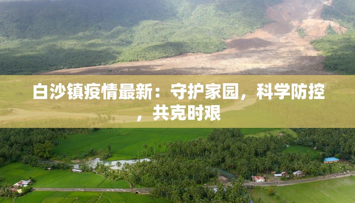 白沙镇疫情最新：守护家园，科学防控，共克时艰