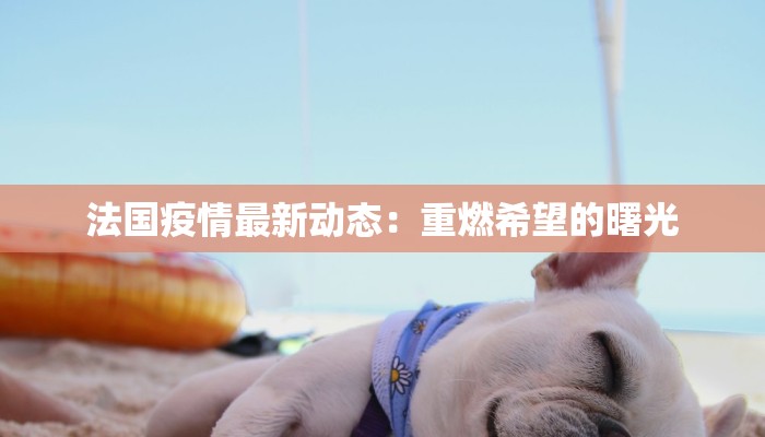 法国疫情最新动态：重燃希望的曙光