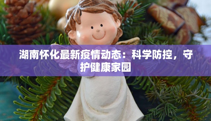 湖南怀化最新疫情动态：科学防控，守护健康家园