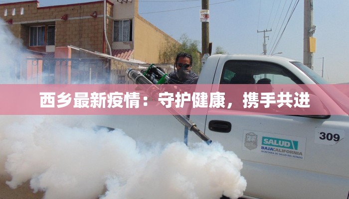 西乡最新疫情：守护健康，携手共进