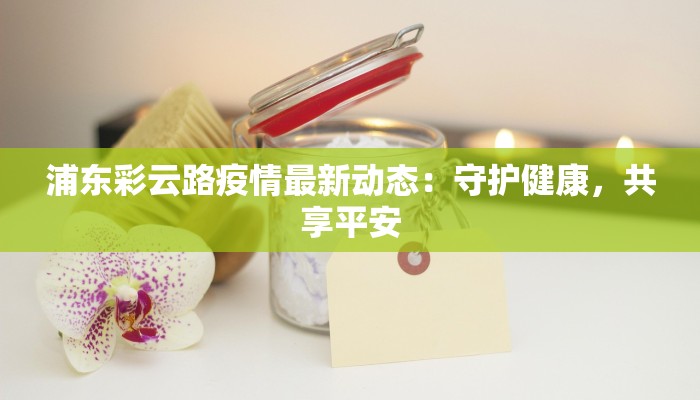 浦东彩云路疫情最新动态：守护健康，共享平安