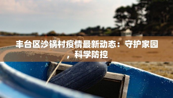 丰台区沙锅村疫情最新动态：守护家园，科学防控