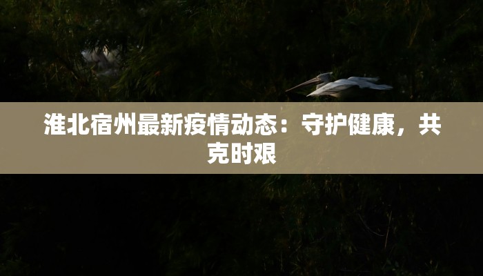 淮北宿州最新疫情动态：守护健康，共克时艰