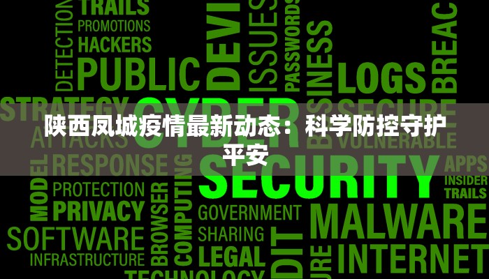 陕西凤城疫情最新动态：科学防控守护平安