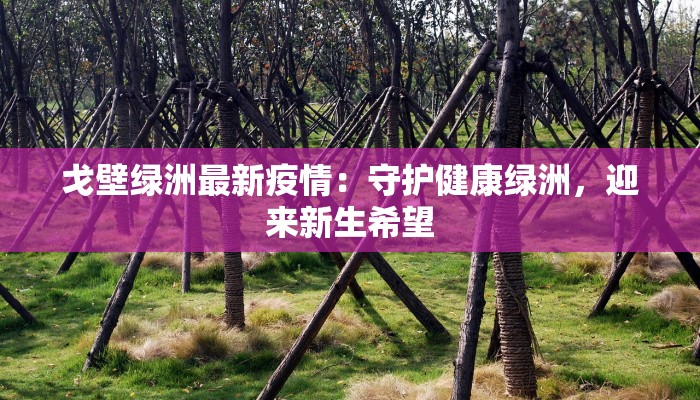 戈壁绿洲最新疫情：守护健康绿洲，迎来新生希望
