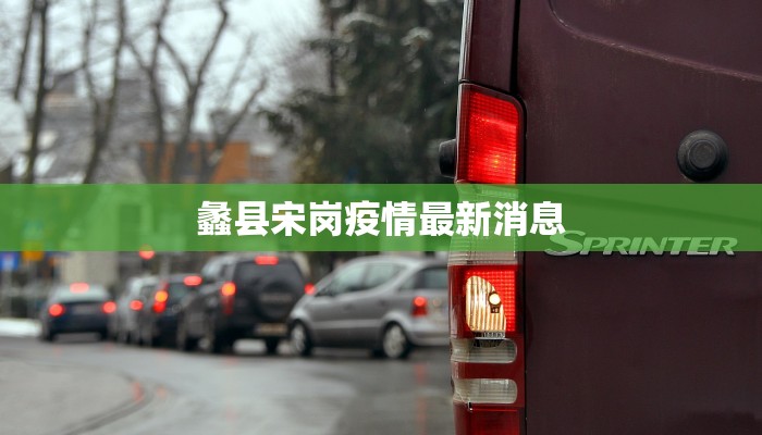 蠡县宋岗疫情最新消息