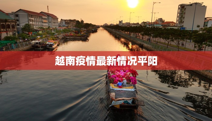 越南疫情最新情况平阳