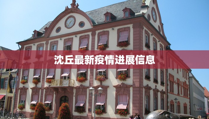 沈丘最新疫情进展信息