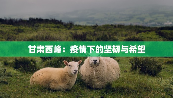 甘肃西峰：疫情下的坚韧与希望