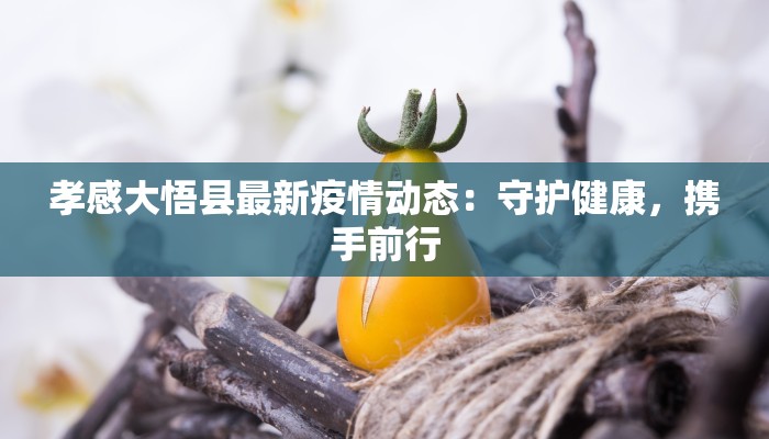 孝感大悟县最新疫情动态：守护健康，携手前行