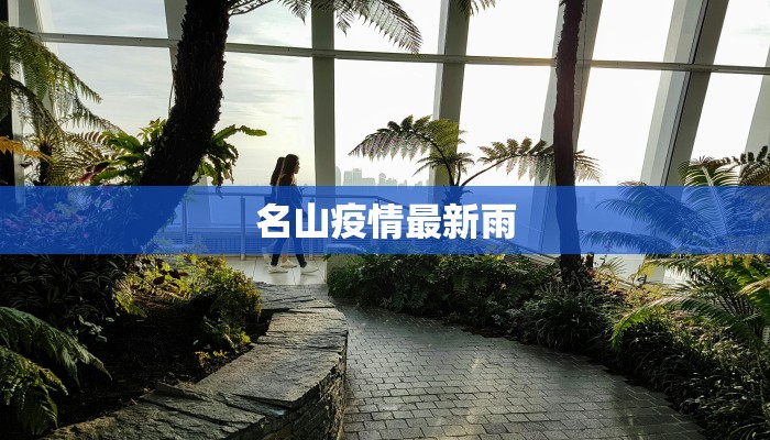 名山疫情最新雨