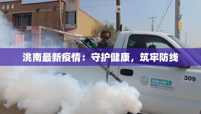 洮南最新疫情：守护健康，筑牢防线