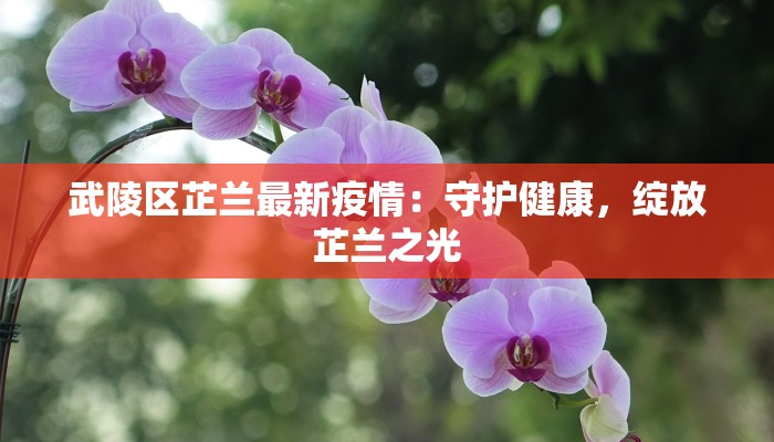 武陵区芷兰最新疫情：守护健康，绽放芷兰之光