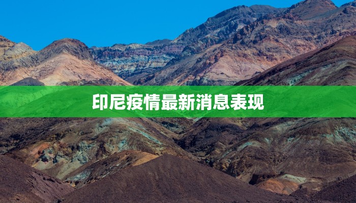 印尼疫情最新消息表现