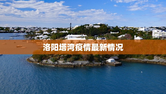 洛阳塔湾疫情最新情况