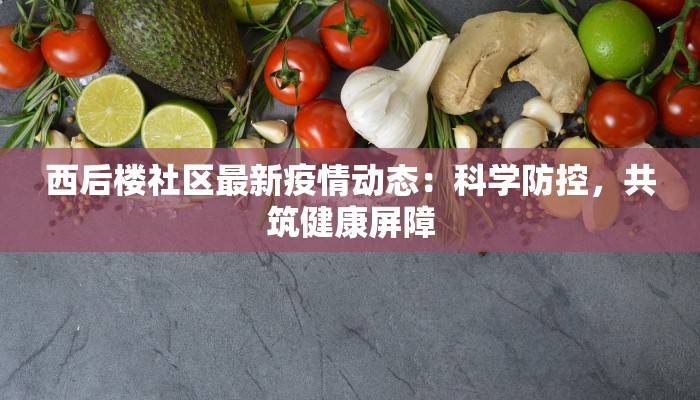 广州连州最新疫情动态：科学防控，守护健康生活