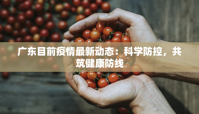 遵义最新疫情：务川如何守护一方平安