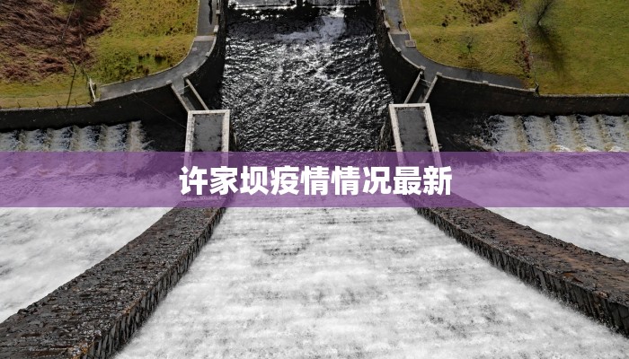 许家坝疫情情况最新