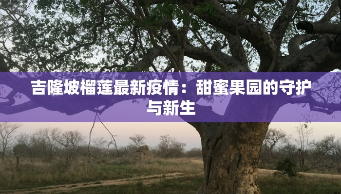 吉隆坡榴莲最新疫情：甜蜜果园的守护与新生