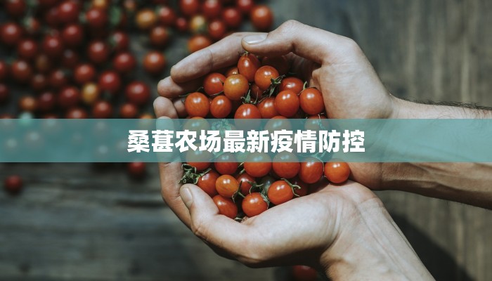 桑葚农场最新疫情防控