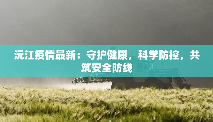 疫情通告南阳最新：守护家园，共克时艰