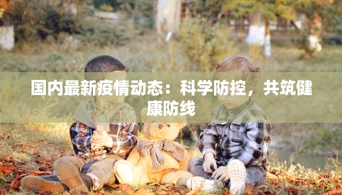 国内最新疫情动态：科学防控，共筑健康防线