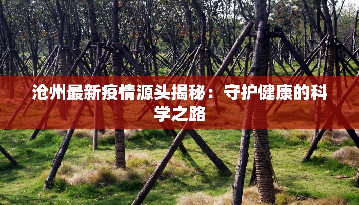 沧州最新疫情源头揭秘：守护健康的科学之路
