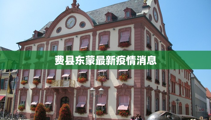 费县东蒙最新疫情消息