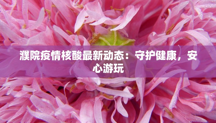 濮院疫情核酸最新动态：守护健康，安心游玩