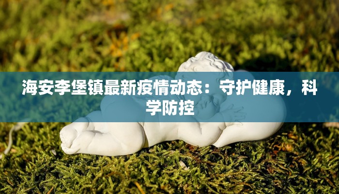 海安李堡镇最新疫情动态：守护健康，科学防控