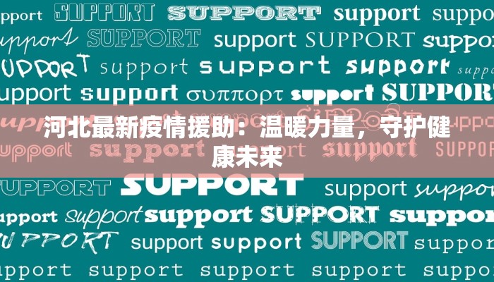 河北最新疫情援助：温暖力量，守护健康未来
