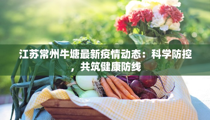 江苏常州牛塘最新疫情动态：科学防控，共筑健康防线