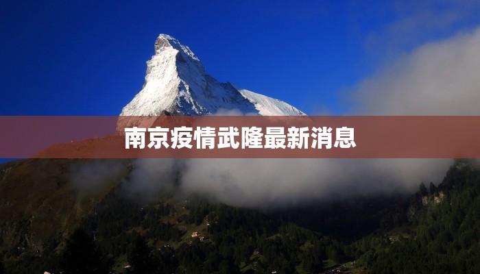 马关县最新疫情公告