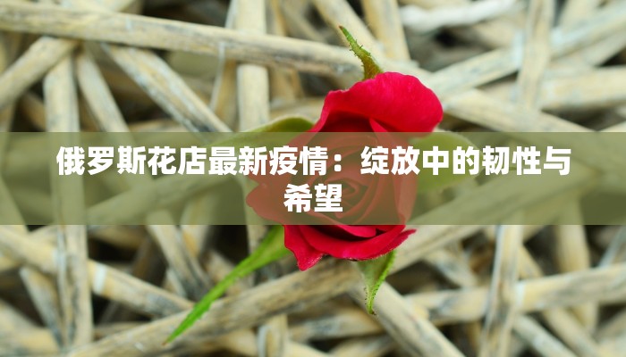 俄罗斯花店最新疫情：绽放中的韧性与希望