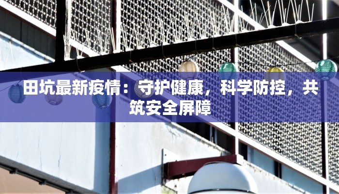 田坑最新疫情：守护健康，科学防控，共筑安全屏障