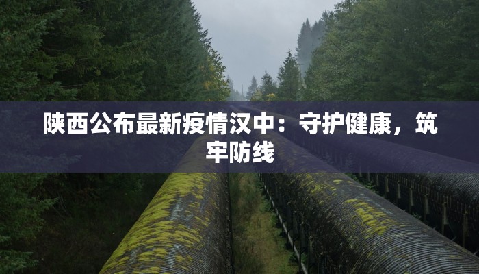 陕西公布最新疫情汉中：守护健康，筑牢防线