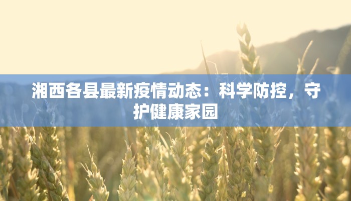 湘西各县最新疫情动态：科学防控，守护健康家园