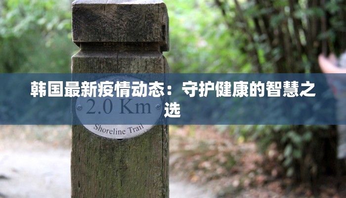 韩国最新疫情动态：守护健康的智慧之选