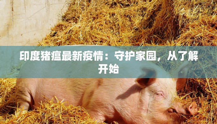 瓦市疫情最新情况