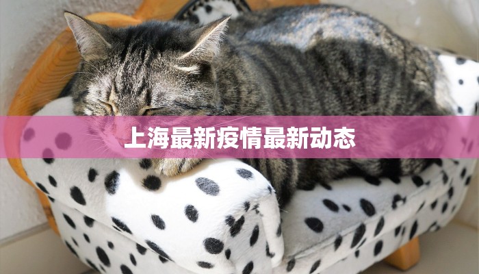 上海最新疫情最新动态