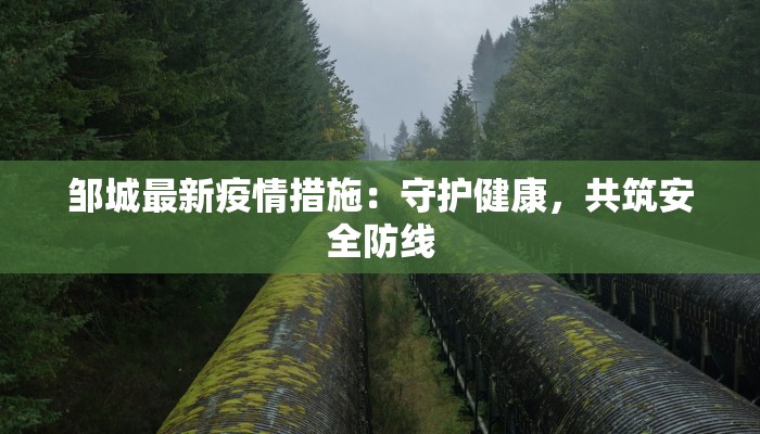 邹城最新疫情措施：守护健康，共筑安全防线