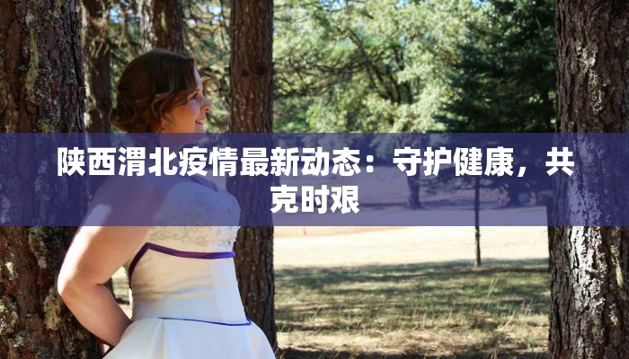 陕西渭北疫情最新动态：守护健康，共克时艰